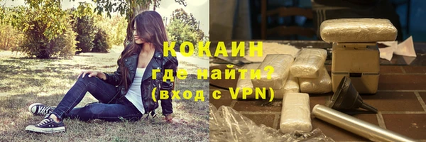 соль ск Павловск