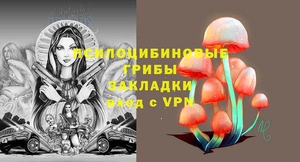 стаф Нефтегорск