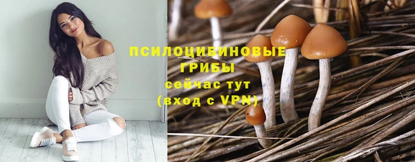 стаф Нефтегорск