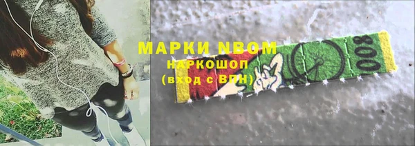 стаф Нефтегорск