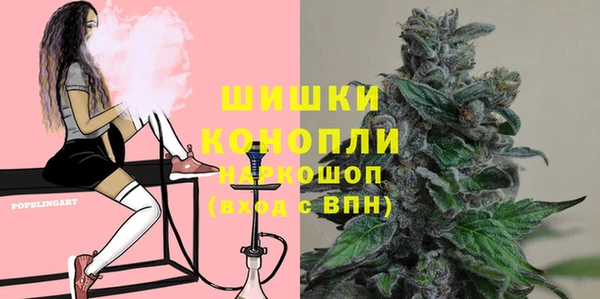 стаф Нефтегорск