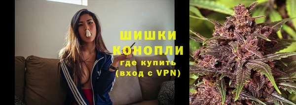 стаф Нефтегорск