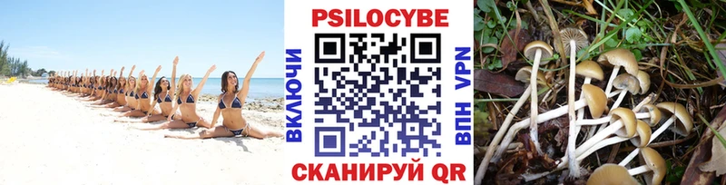 цена наркотик  Новокубанск  мориарти наркотические препараты  Псилоцибиновые грибы мухоморы 