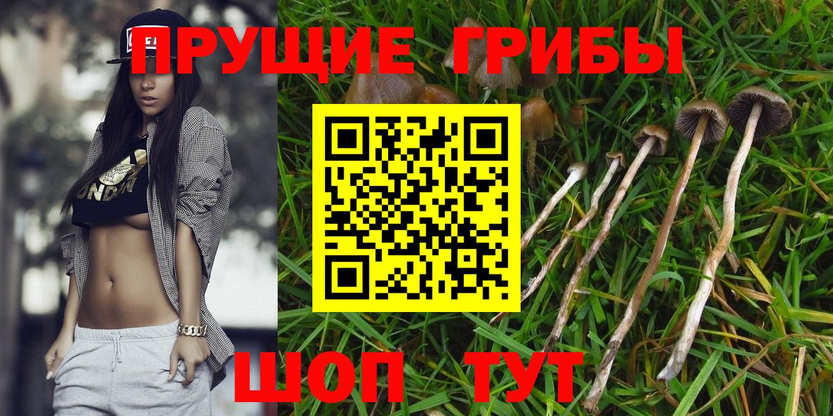 Новокубанск  Галлюциногенные грибы GOLDEN TEACHER  Вход с VPN 